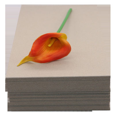 Produit de l'usine Nouveau modèle de carton gris