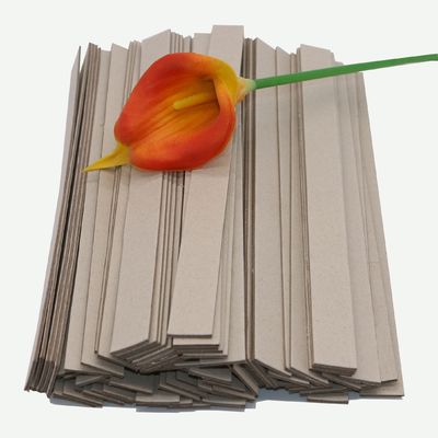 Papeterie recyclée de type papier de carton avec certification FSC et CE