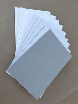 Vente à chaud 250gm Export Coated Card Board Paper Coated Duplex Board Dos gris Blanc Dos