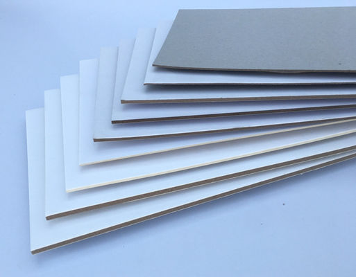 Vente à chaud 250gm Export Coated Card Board Paper Coated Duplex Board Dos gris Blanc Dos