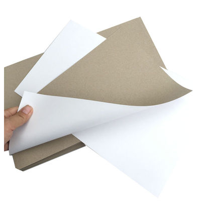 Un seul côté du papier blanc en double 200Gsm 230Gsm 250Gsm 300Gsm 350Gsm 400Gsm 450Gsm