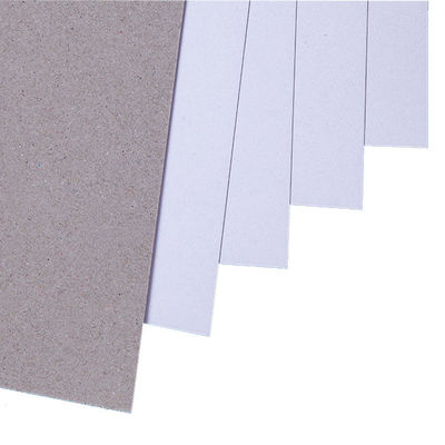 Tableau de papier duplex revêtu de surface lisse avec dos gris