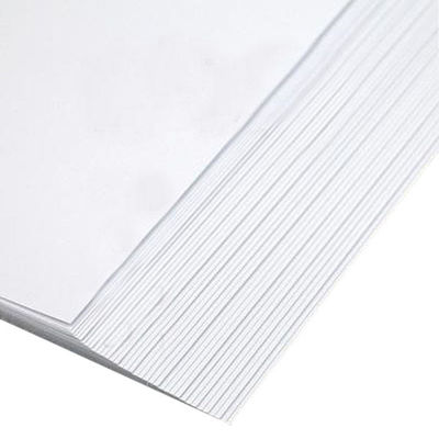 Papier d'impression offset blanc sans revêtement en rouleau sans bois