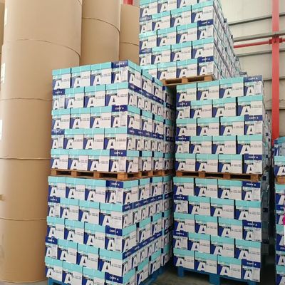 Ruloir de papier offset écologique recyclé non recouvert
