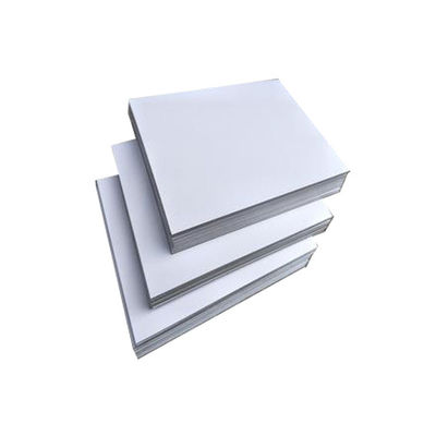FBB SBS C1S Carton d'ivoire 190~400gm Carte de carton d'ivoire Surface brillante
