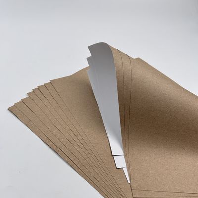 Peinture de revêtement papier jumbo avec revêtement PE