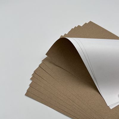 Peinture de revêtement papier jumbo avec revêtement PE