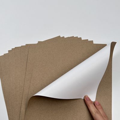 Peinture de revêtement papier jumbo avec revêtement PE