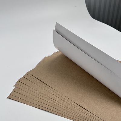C1S Papier en carton duplex recouvert par Kraft en feuille ou en rouleau