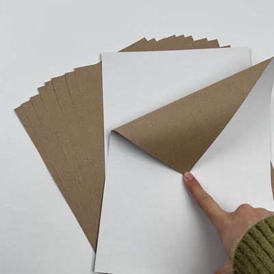 C1S Papier en carton duplex recouvert par Kraft en feuille ou en rouleau
