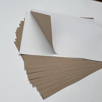 C1S Papier en carton duplex recouvert par Kraft en feuille ou en rouleau