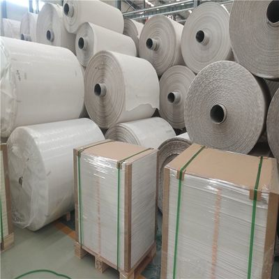 Papier de pierre recyclable Résistant à l'eau 100um 120um Carnet d'impression