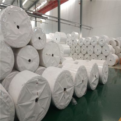 Papier de pierre recouvert de blanc sans arbres étanche à l'eau 120g 144g 168g 240g étanche aux larmes