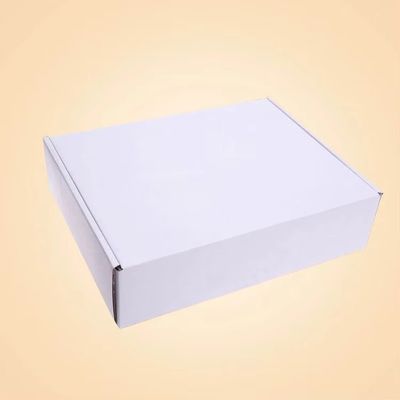 Boîtes de pizza en carton blanc recyclées pour emballage personnalisé