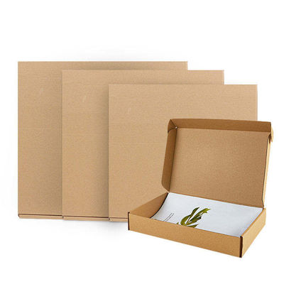 Emballage Logo personnalisé Imprimé Carton ondulé Boîte de courrier Carton d'expédition
